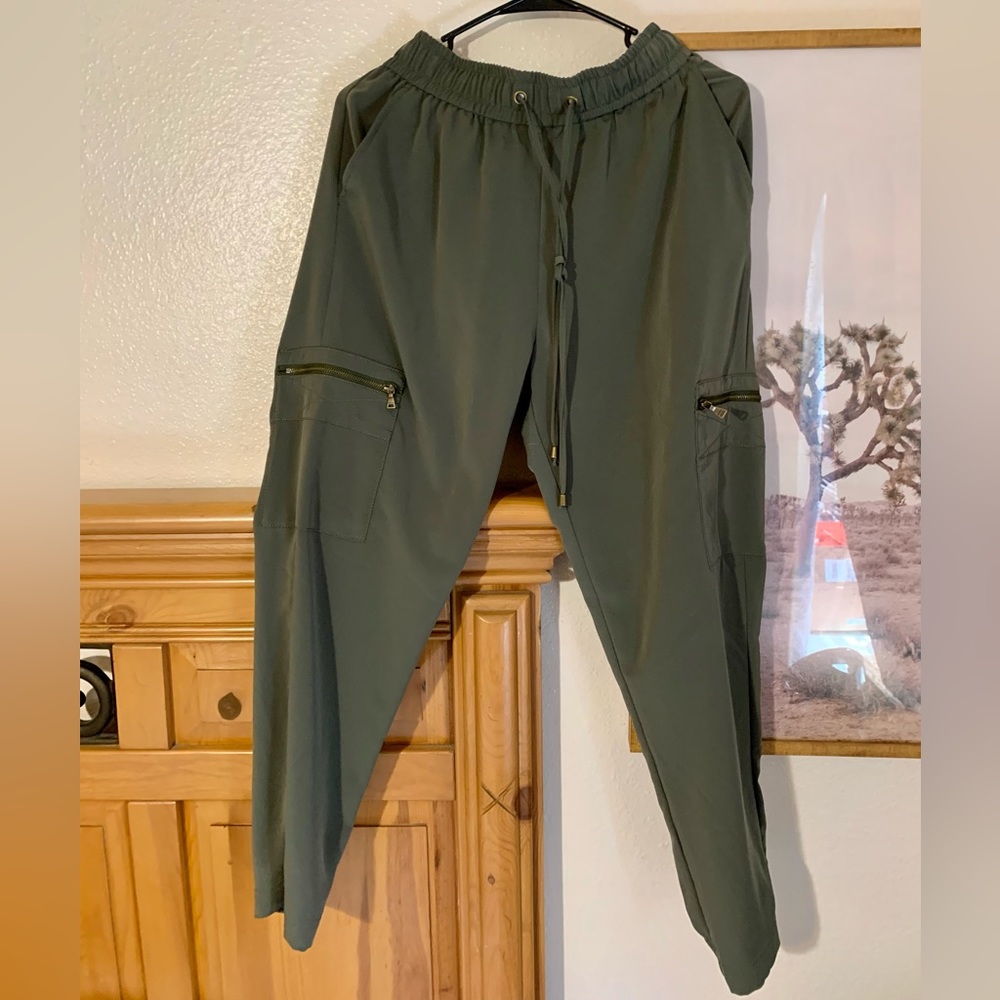 Express Green pants